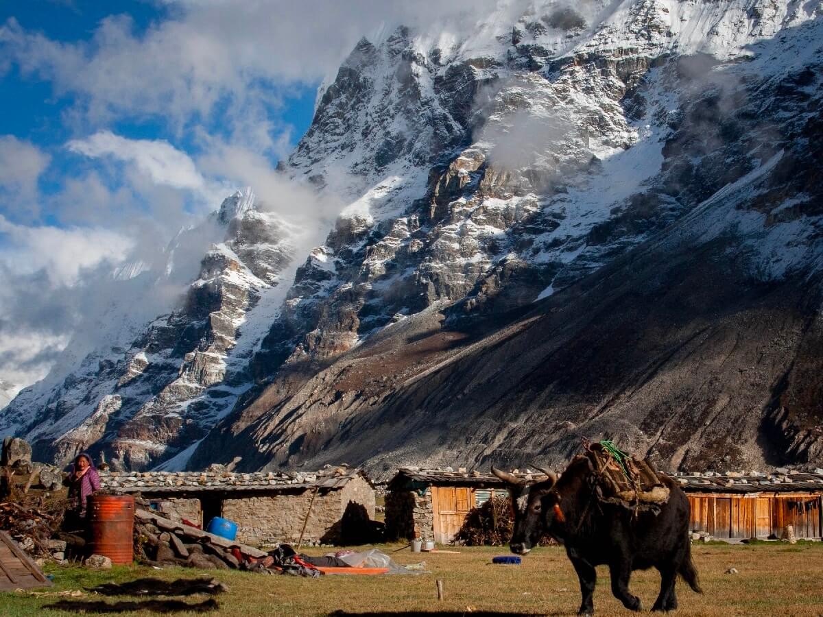 kanchenjunga circuit trek in nepal